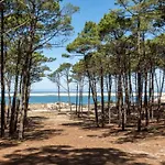 캠프장 Bungalow-mobilhome - Petit Prix- Ocean -foret -camping 3 Etoiles