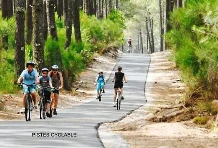 Locationestivale40 Petit Budget Ocean Foret Campsite Bias (Landes)