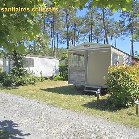 Locationestivale40 Petit Budget Ocean Foret Campsite