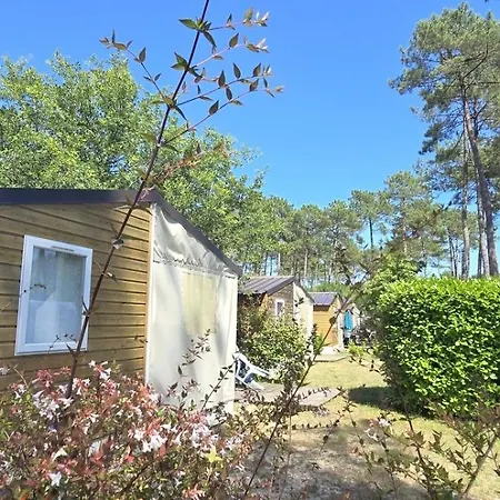 Locationestivale40 Petit Budget Ocean Foret Campsite 3*
