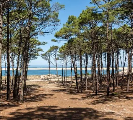 Kemp Bungalow-mobilhome - Petit Prix- Ocean -foret -camping 3 Etoiles