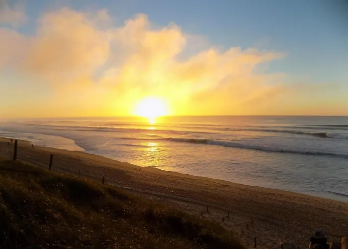 Bungalow-mobilhome - Petit Prix- Ocean -foret -camping 3 Etoiles 3*